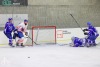 Velkolepý turnaj Winter Hockey Days v Plané ovládli domácí a HC Vítkovice