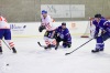 Velkolepý turnaj Winter Hockey Days v Plané ovládli domácí a HC Vítkovice