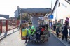 V Měšicích autobus porazil kobylu. Na nohy ji postavila zelená a jelo se na hasiče