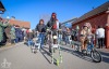 V Měšicích autobus porazil kobylu. Na nohy ji postavila zelená a jelo se na hasiče