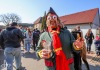 V Měšicích autobus porazil kobylu. Na nohy ji postavila zelená a jelo se na hasiče