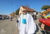 V Měšicích autobus porazil kobylu. Na nohy ji postavila zelená a jelo se na hasiče