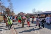 V Měšicích autobus porazil kobylu. Na nohy ji postavila zelená a jelo se na hasiče