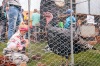 Na Barokním dvoře v Borotíně připravili o Bílé sobotě nabitý program