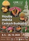 Jihočeské muzeum vystaví houby Českých Budějovic