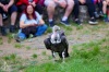 Sezimovo Ústí zahájilo turistickou sezonu na Kozím hrádku s novým Husem, sličnými ženami i divokými souboji