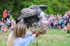 Sezimovo Ústí zahájilo turistickou sezonu na Kozím hrádku s novým Husem, sličnými ženami i divokými souboji
