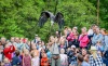 Sezimovo Ústí zahájilo turistickou sezonu na Kozím hrádku s novým Husem, sličnými ženami i divokými souboji