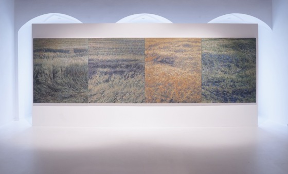 Krajina jako paměť, rytmus a duchovní prostor. Tomáš Žemla vystavuje v AJG