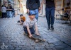 Poslední sbohem. Stovky návštěvníků se loučily s Flipshopem i Pivnici U Zlatého lva 