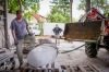 V Plané nad Lužnicí vznikají nové mramorové sochy. Na prvním kamenosochařském sympoziu sochá punkáč i fotograf