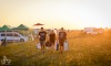 Mighty Sounds 2026: První návštěvníky rozehřívali Turbopreachers a Public Serpents