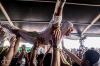Takto festival Mighty Sounds slavil 20 let. Nezastavily ho ani extrémní teploty