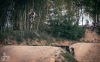Tábor má nový bikepark. Kultovní cihelnu otevřeli závody, Indy i Strýc Nory
