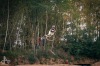 Tábor má nový bikepark. Kultovní cihelnu otevřeli závody, Indy i Strýc Nory