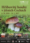 Houby všude. Jihočeské muzeum v Českých Budějovicích je vystavuje až do ledna
