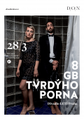 8 GB tvrdýho porna
