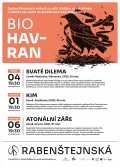 Bio havran