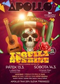DISCO APOLLO
