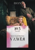V ZÁVĚJI