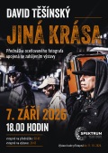 David Těšínský: Jiná krása